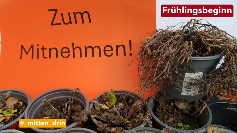 Titelbild zum News-Artikel #_mitten_drin - März 2025