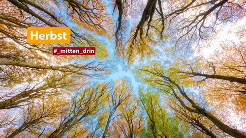 Titelbild zum News-Artikel #_mitten_drin - September 2024